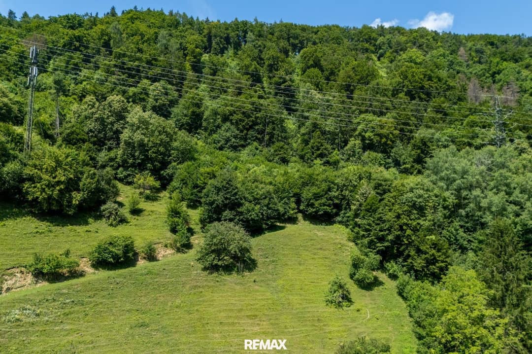 Forest Area near Thalersee Graz