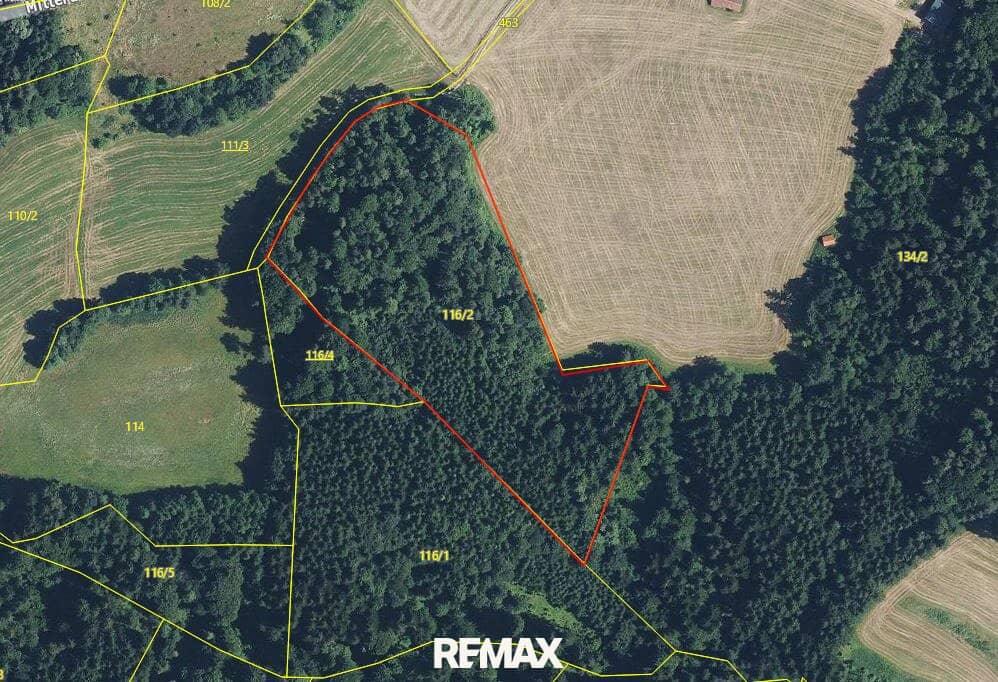 Mixed Forest Land 20,084 m²
