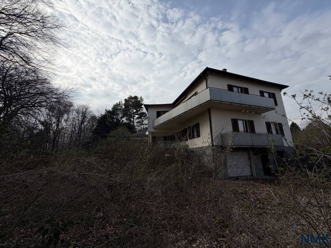 Immobilienbild 2