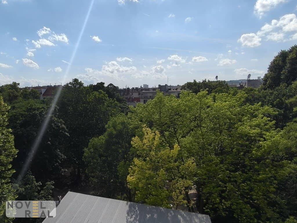 Wohnung Rohdachboden nahe Brunnenmarkt Parkblick