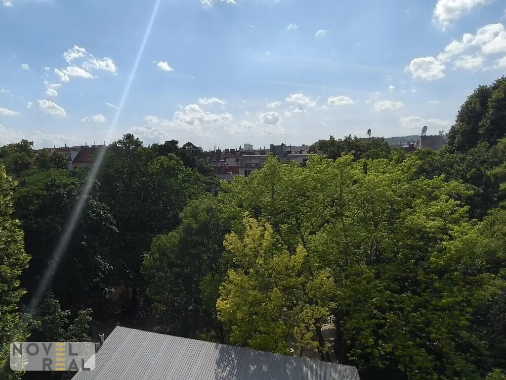 Wohnung Rohdachboden nahe Brunnenmarkt Parkblick