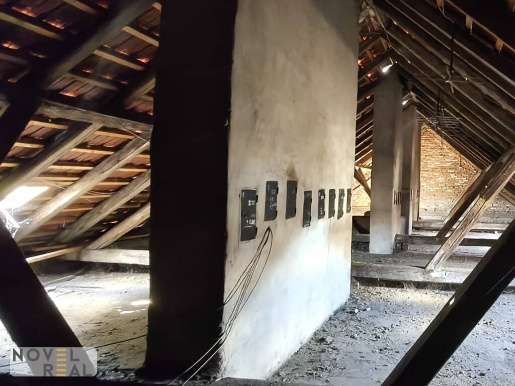 Wohnung Rohdachboden nahe Brunnenmarkt Parkblick