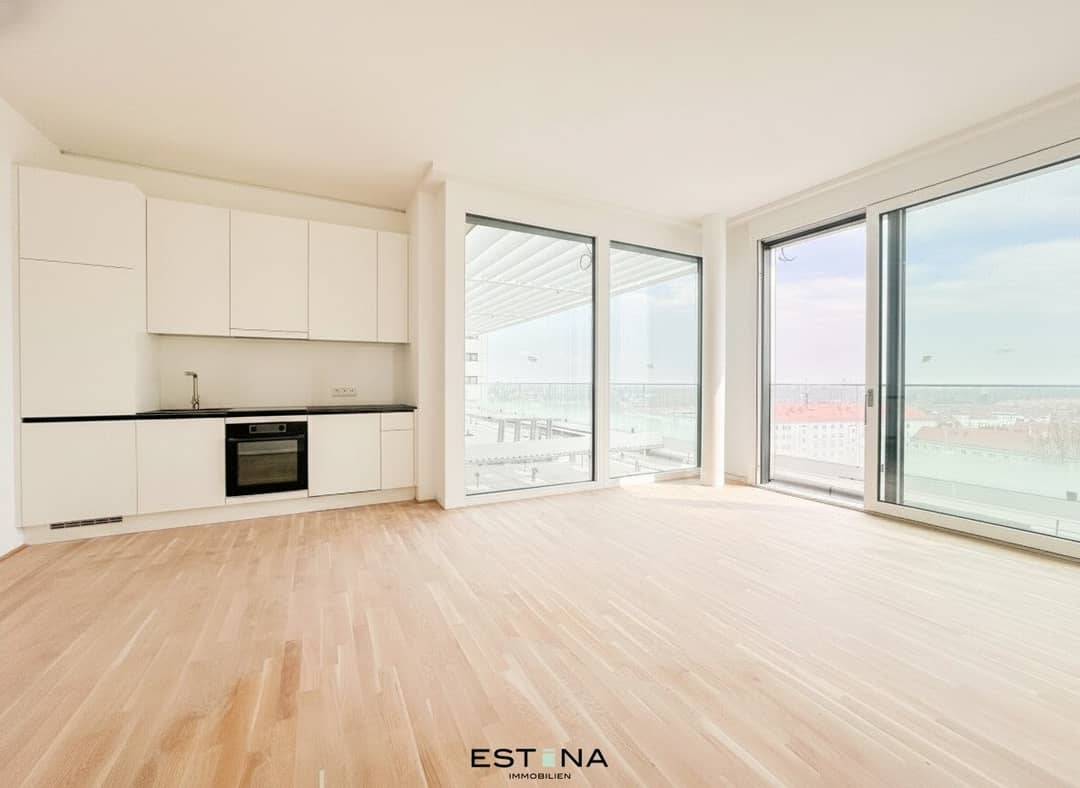Apartment on the Danube waterfront near Reichsbrücke with a large balcony