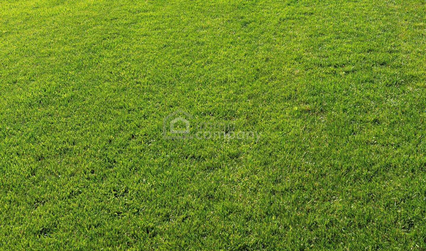 Sunny Building Plot in Leopoldsdorf