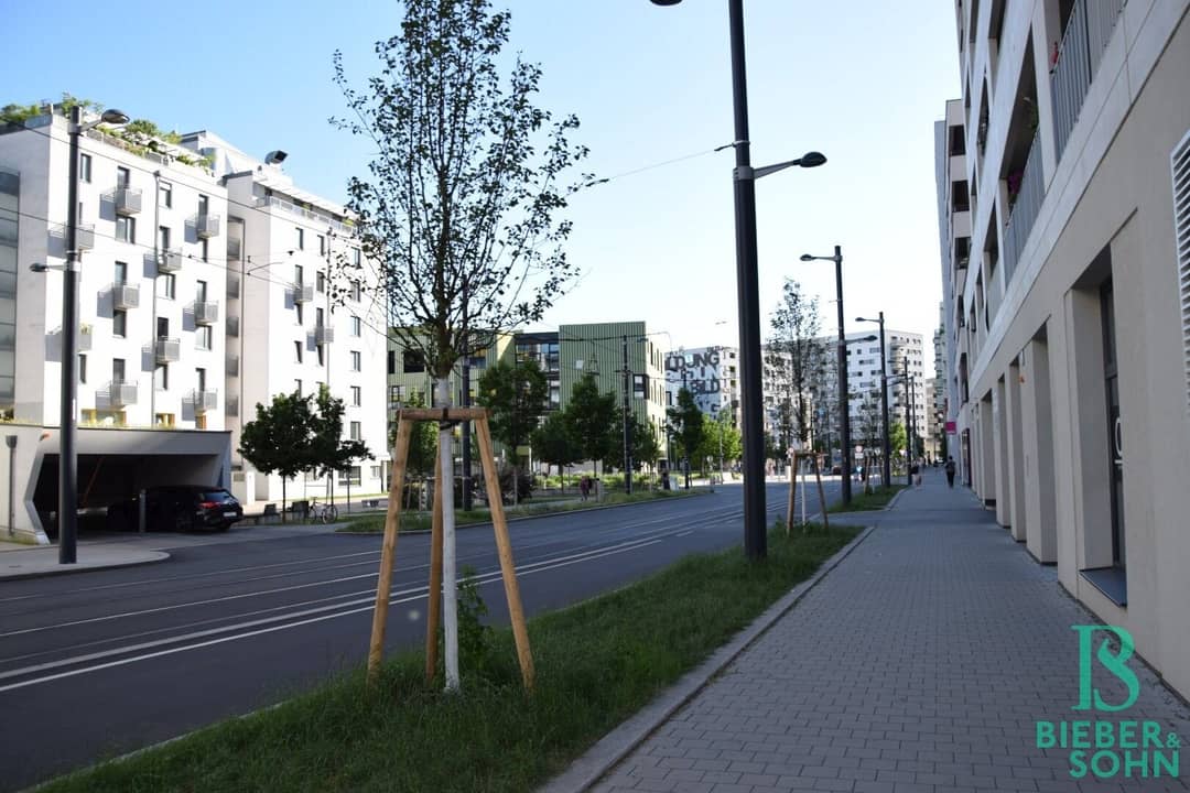 Parking Space in The Wild, Vienna 1020