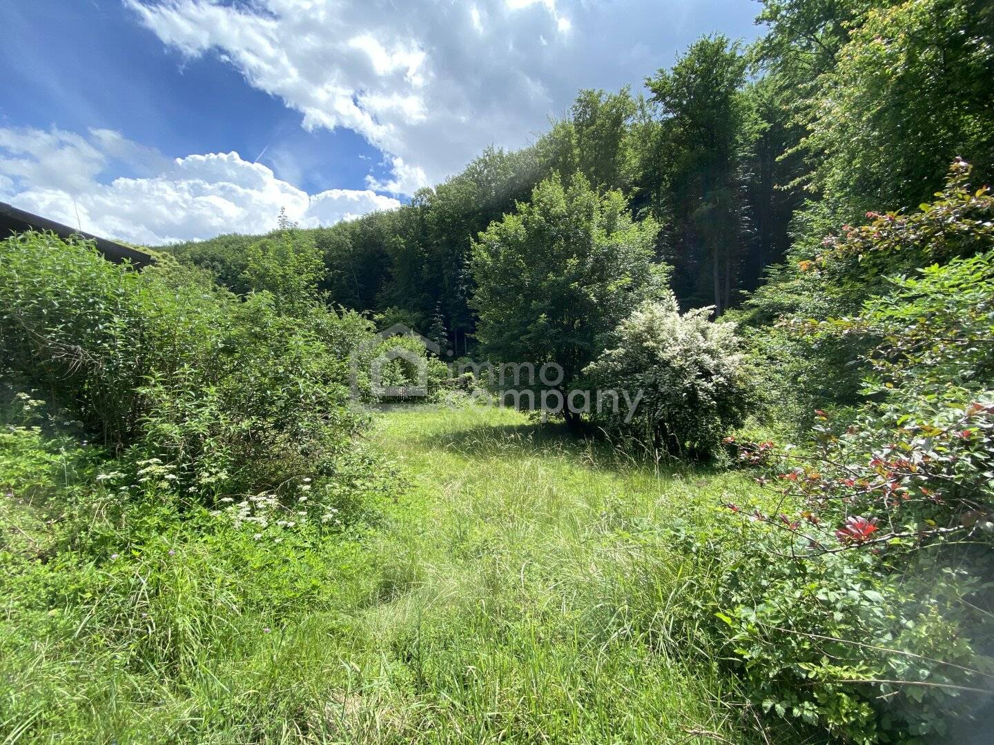 Sunny plot with garden and existing building at the forest edge