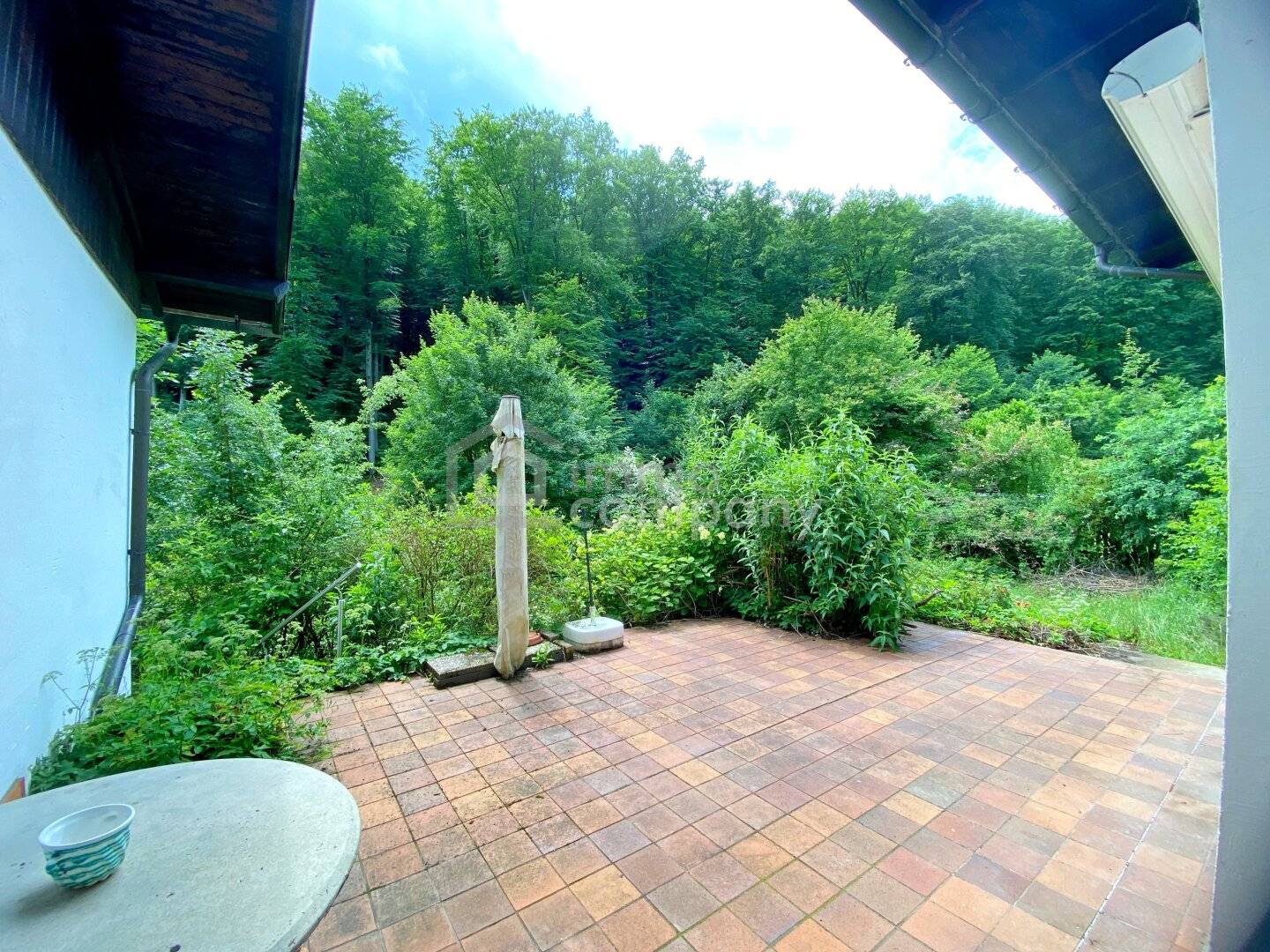 Sunny plot with garden and existing building at the forest edge