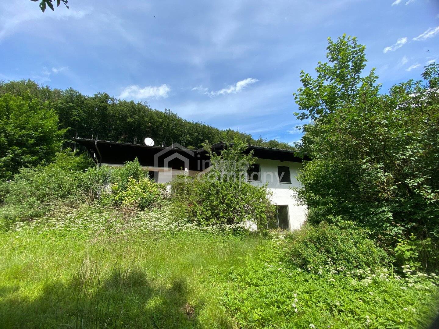 Sunny plot with garden and existing building at the forest edge