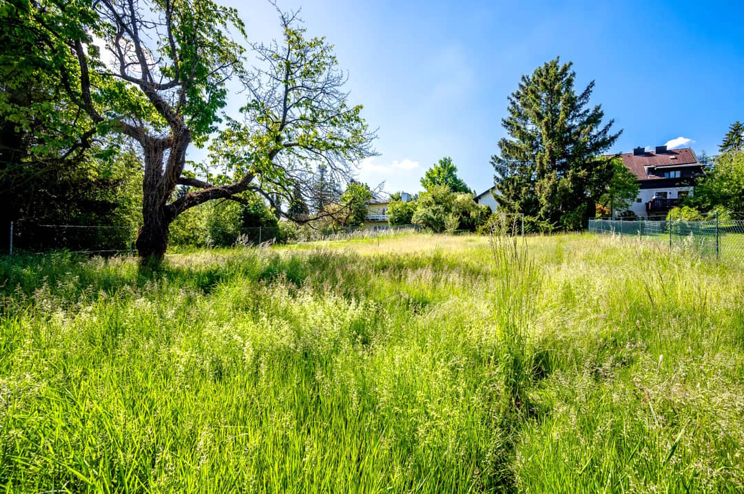 Perchtoldsdorf: 1,020 m² Plot