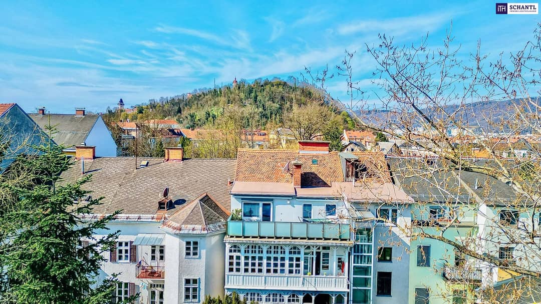 Penthouse Graz with Terrace and Lift