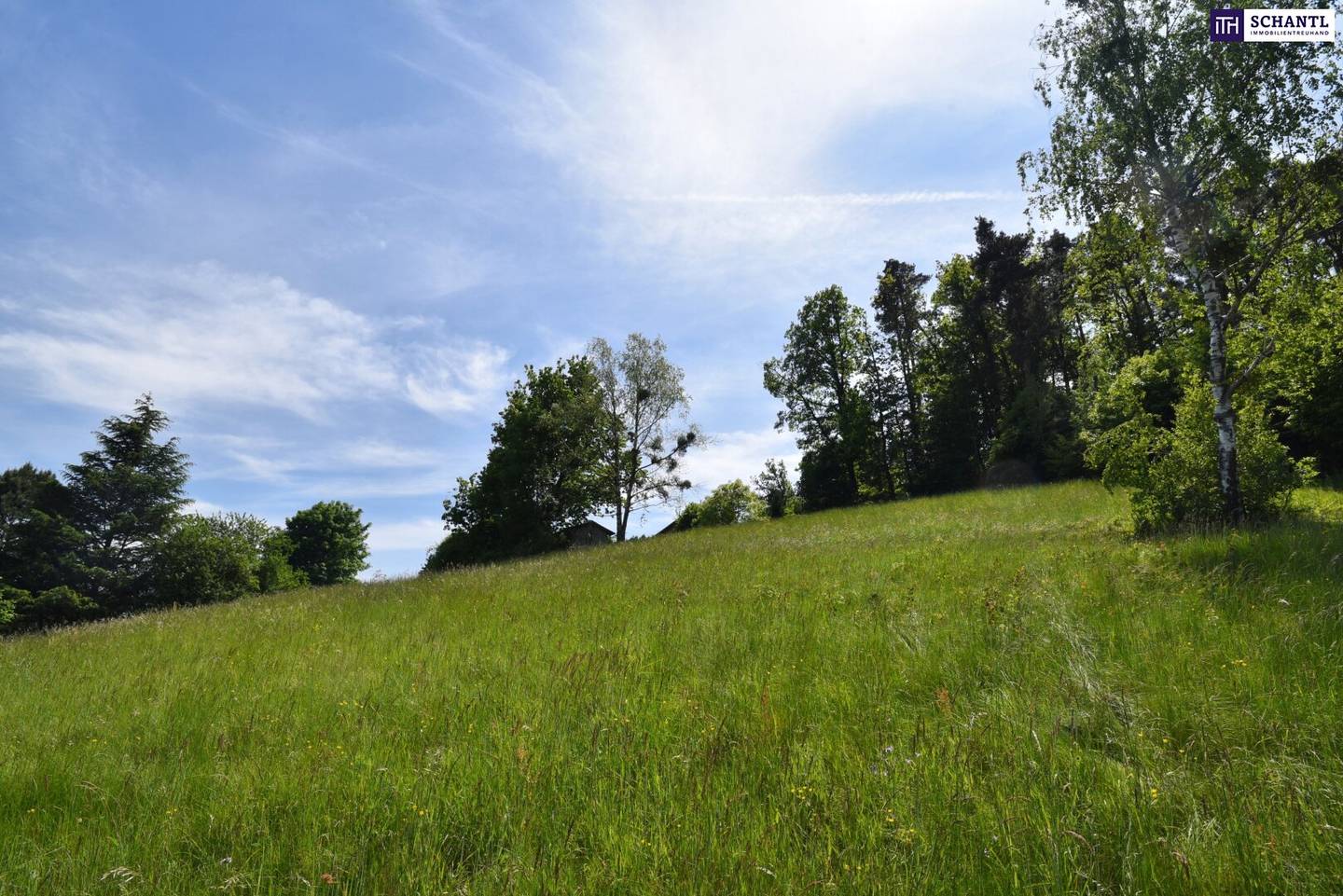 Building Plot Graz-St. Veit 2321 m²