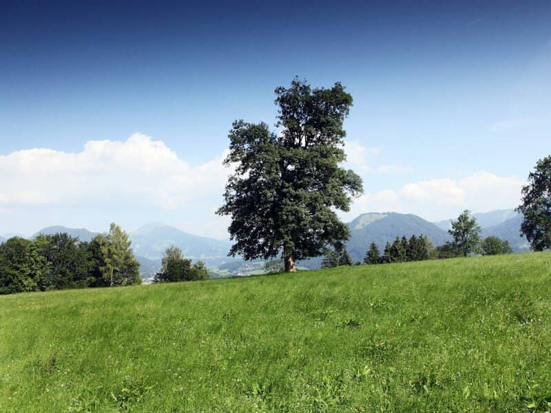 Mehrfamilienhaus mit Pool in Angerberg