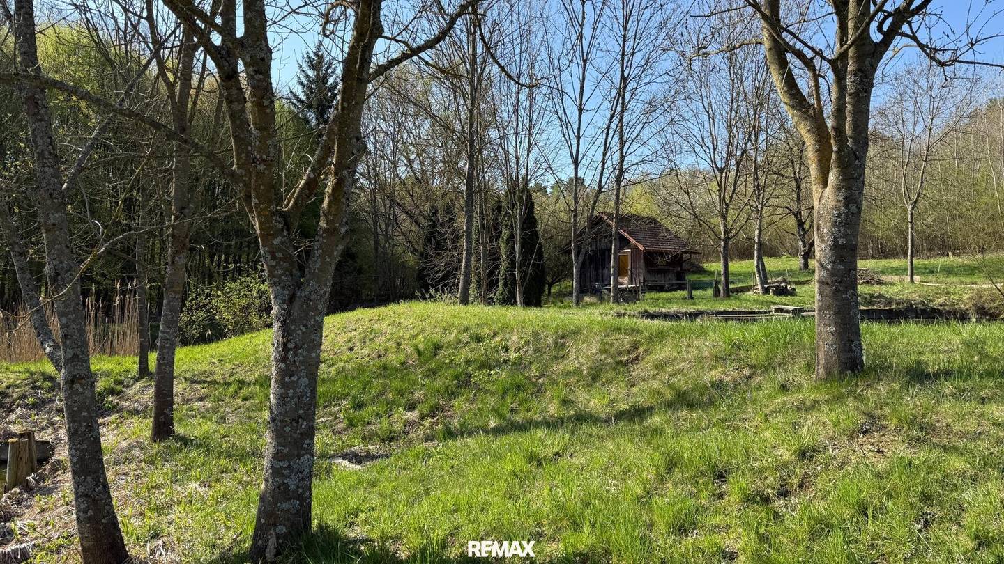 Naturgrundstück mit Teichanlage in Kleinmürbisch