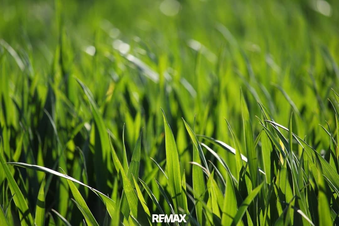 Agricultural land approx. 6.8 ha in Oberwart