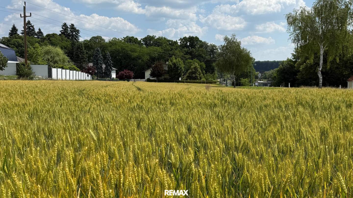 Sonniges Baugrundstück in Kohfidisch