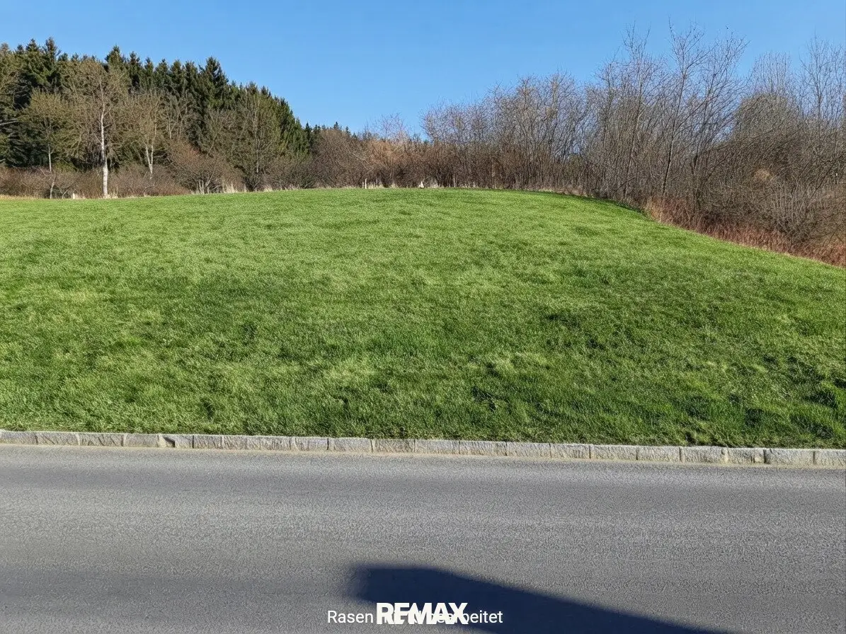Sonnige Baugrundstücke in Stegersbach