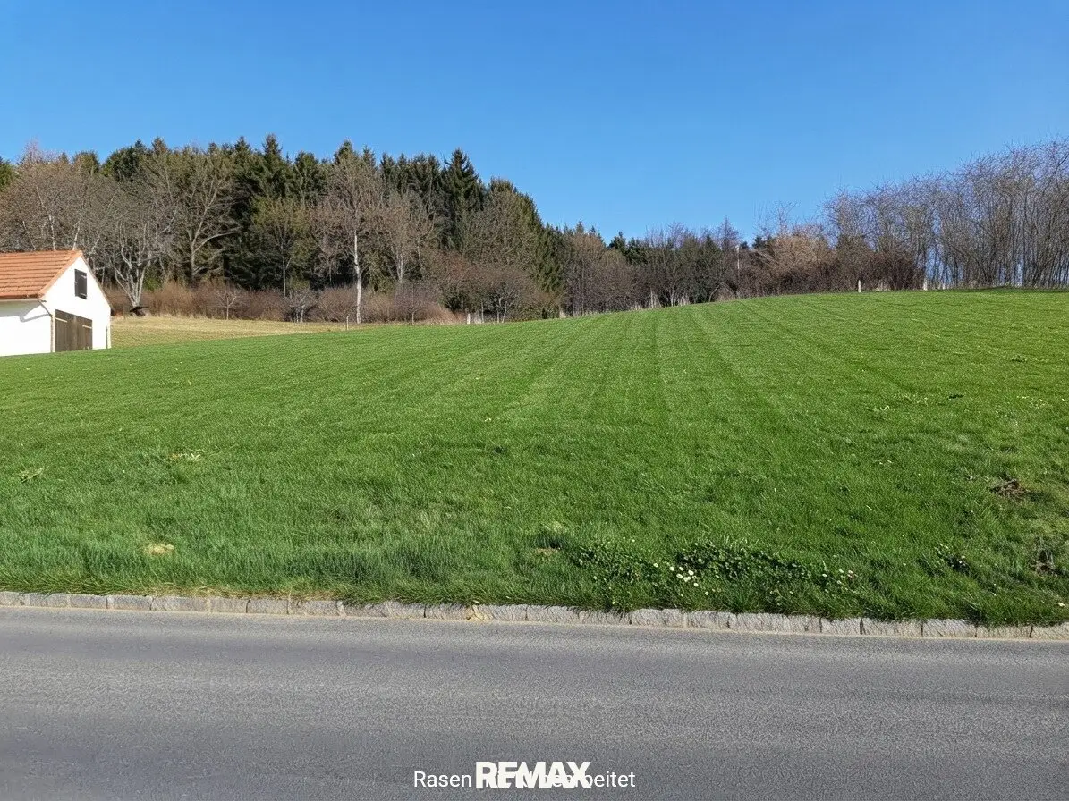 Sonnige Baugrundstücke in Stegersbach
