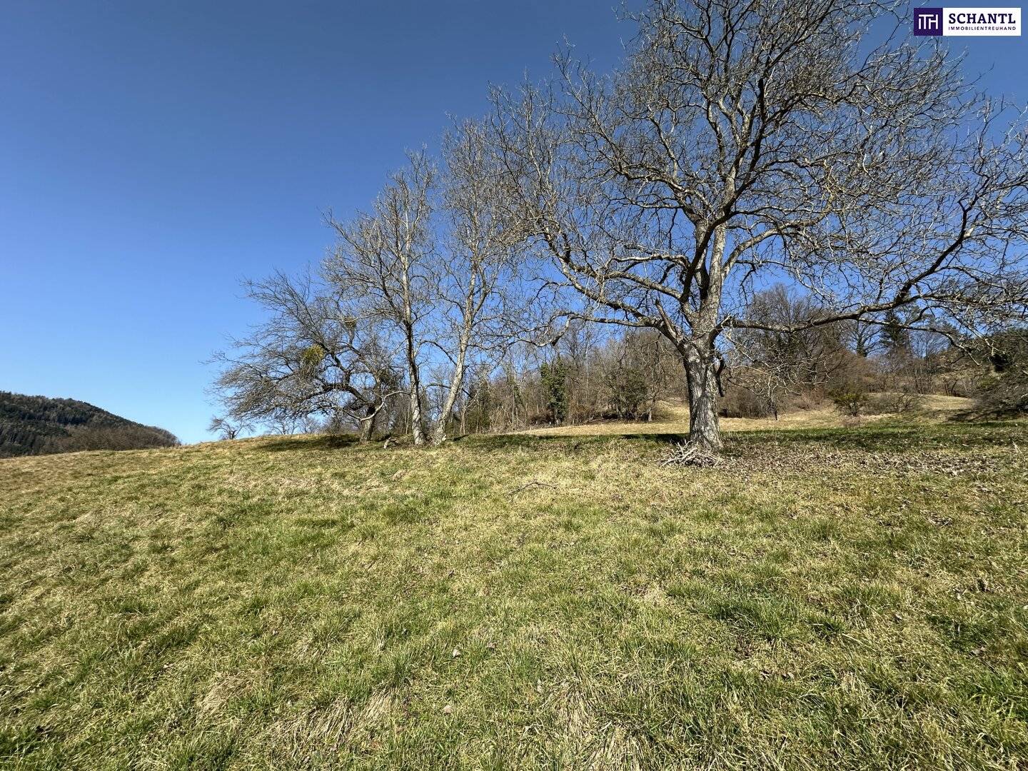 Baugrundstück 3700m² in Prenning