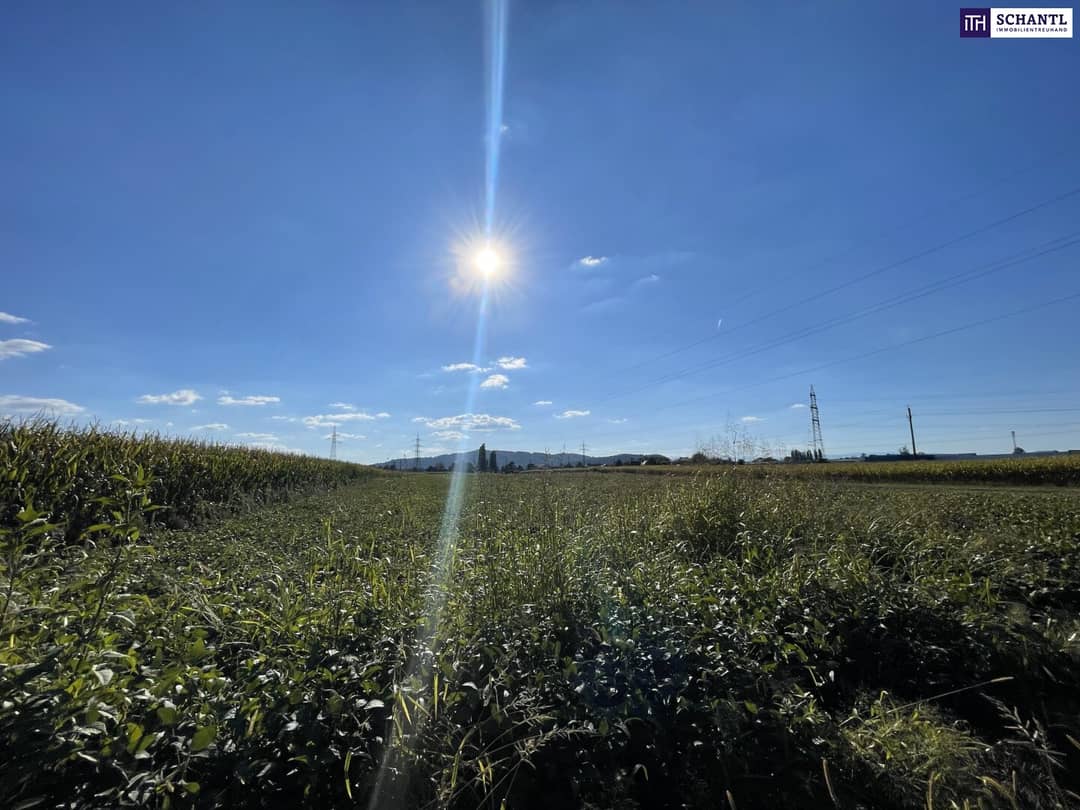 Commercial Plot in Gralla