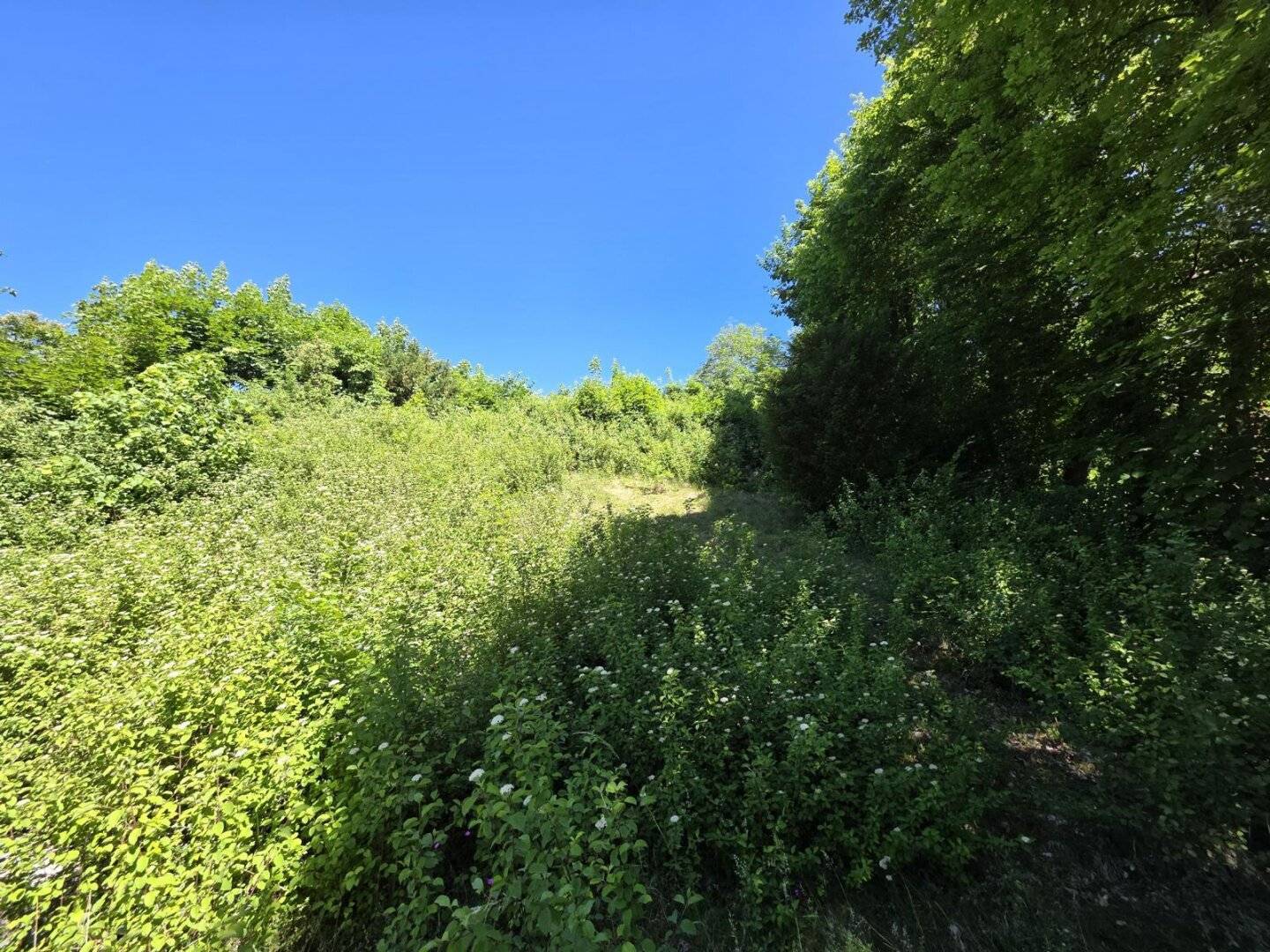 Gmunden: Baugrundstück 904 m² mit Seeblick