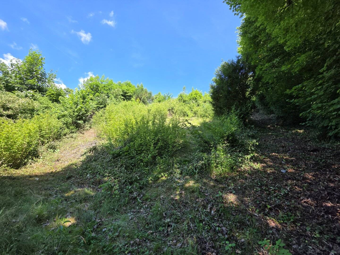 Gmunden: 904 m² Building Plot with Lake View
