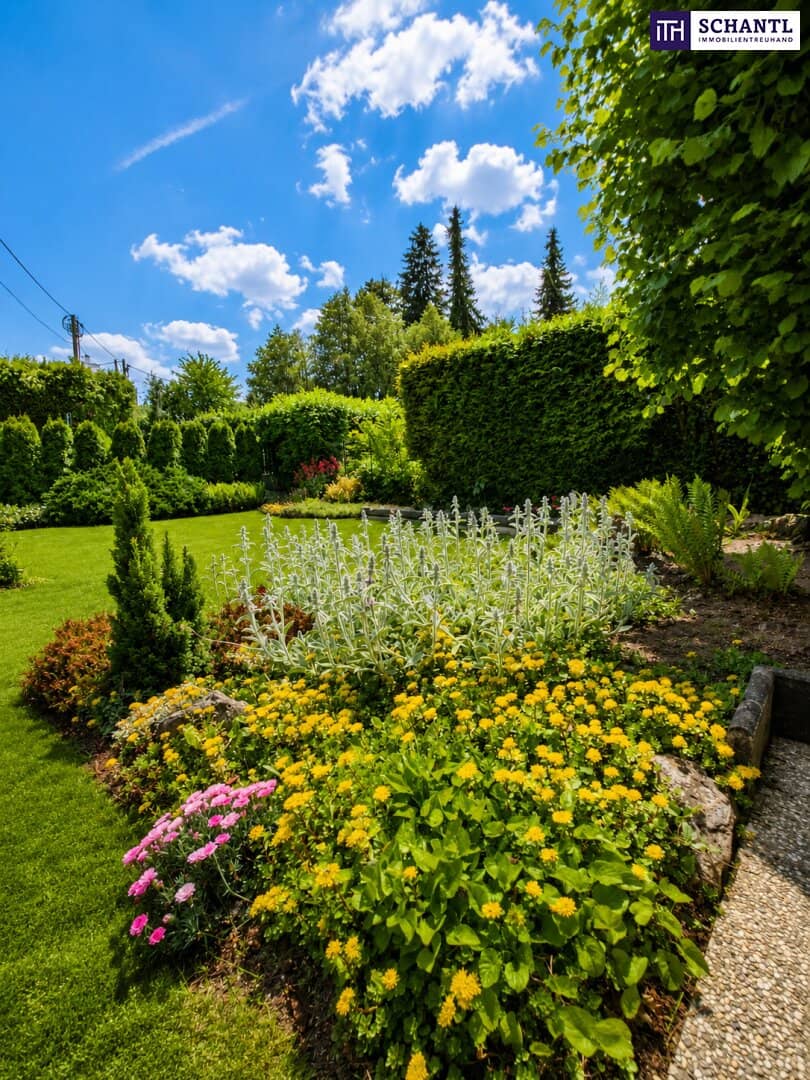 Grünes Refugium in Hietzing – Kleines Haus mit traumhaftem Eigengarten am Jennerplatz | Jetzt besichtigen!