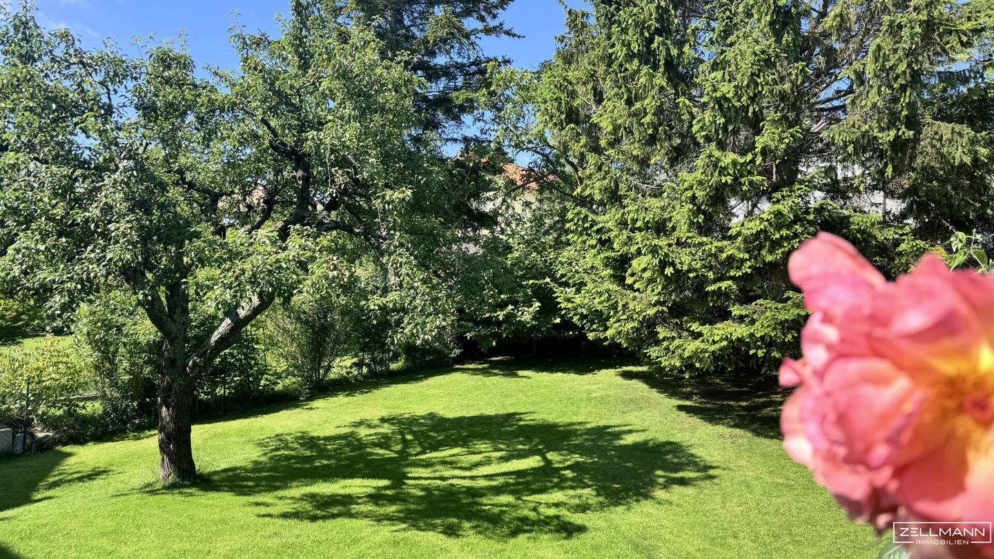 Family house with dream garden in an absolute green quiet location | ZELLMANN IMMOBILIEN