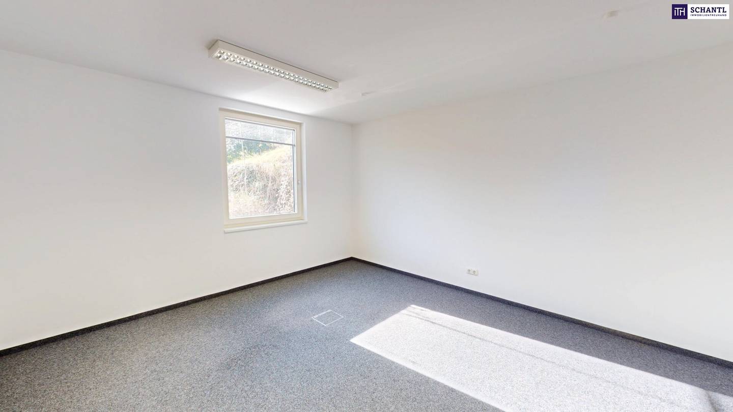 Commercial Space 138 m² in Graz-Straßgang