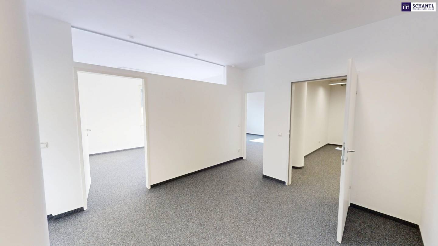 Commercial Space 138 m² in Graz-Straßgang