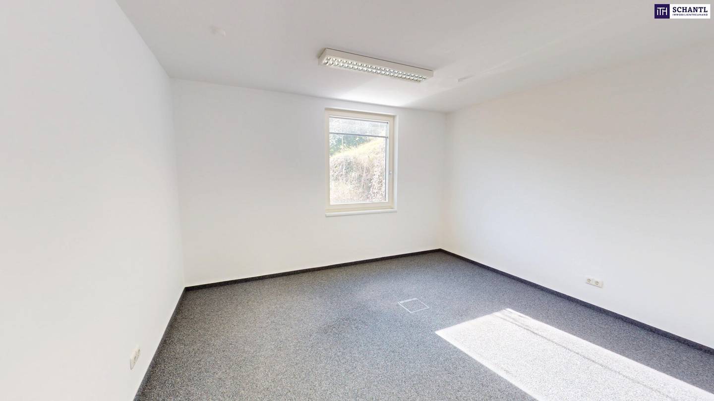 Commercial Space 138 m² in Graz-Straßgang