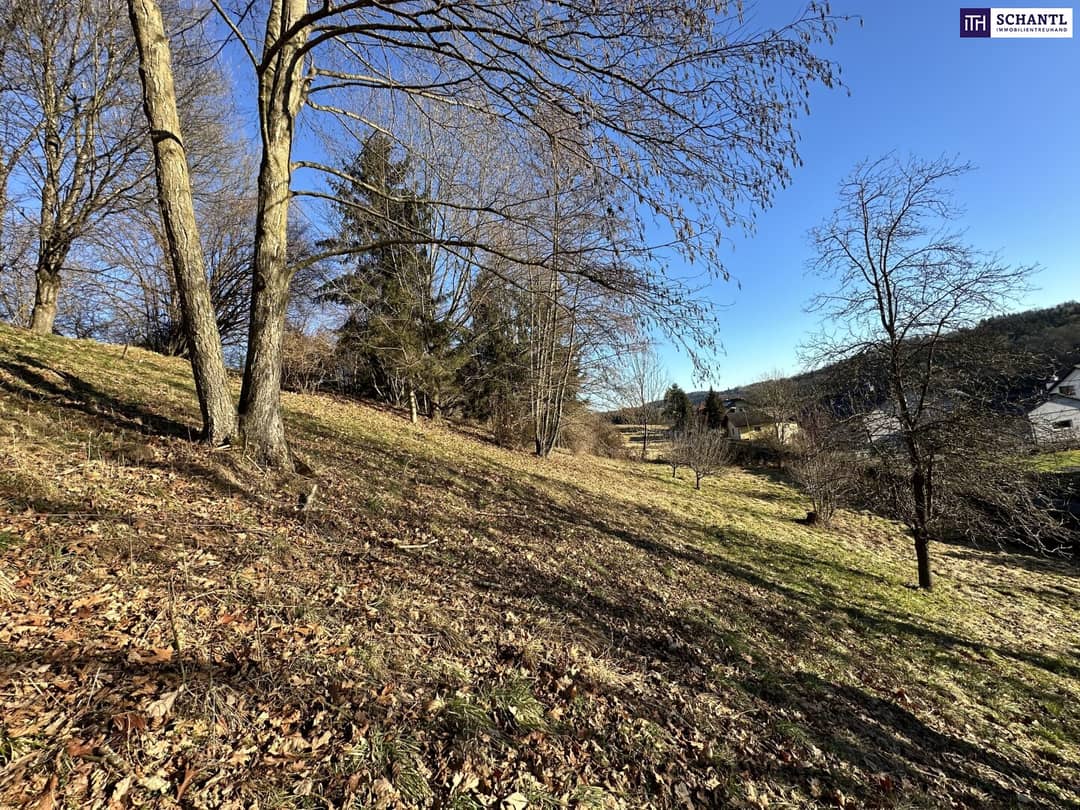Immobilienbild 3