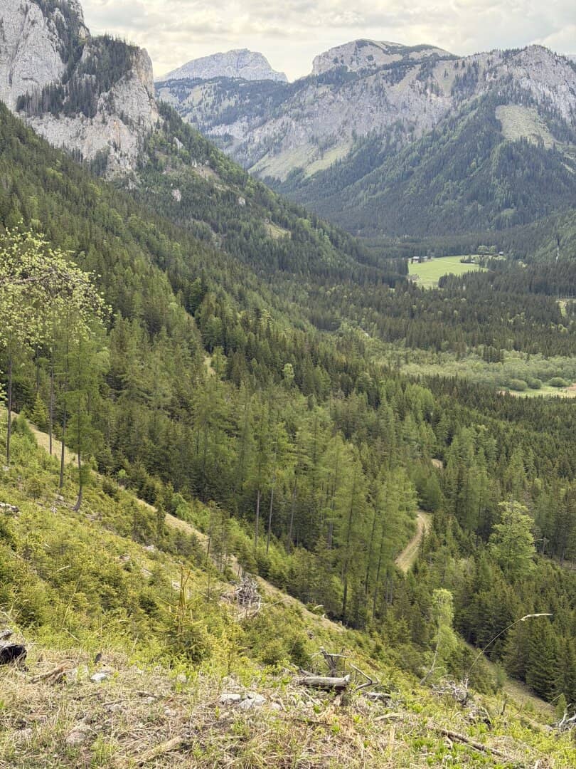 300 ha Gebirgsjagd in Bruck an der Mur