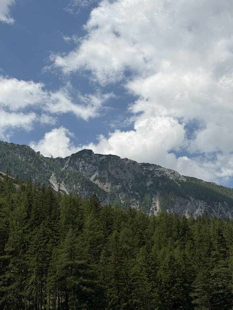 300 ha Alm und Gebirgsjagd in der Steiermark
