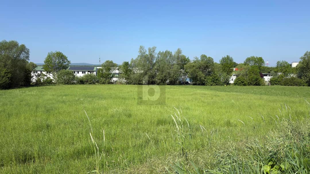 Sunny Plot in Sigleß