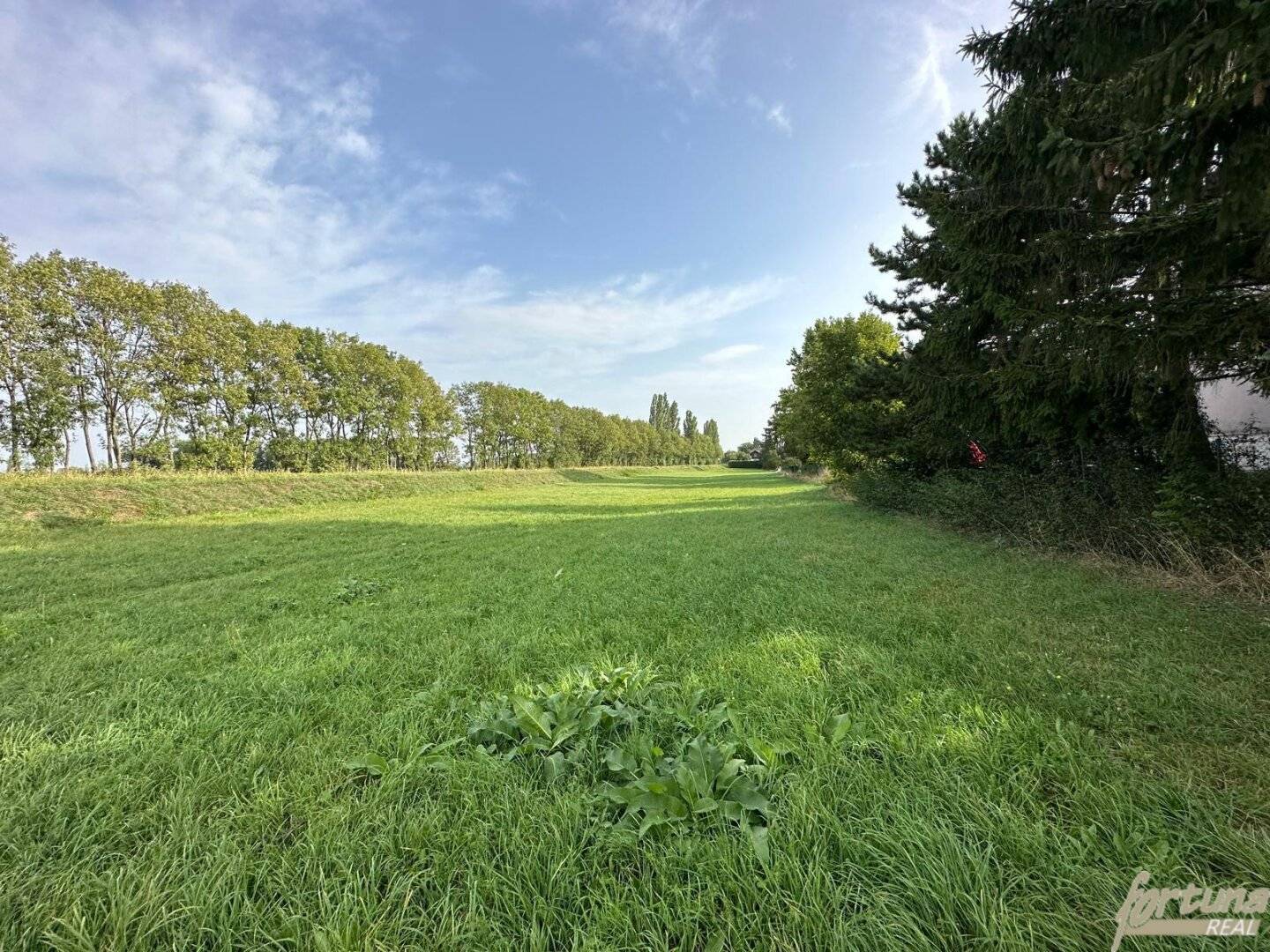 Grundstück für Bauträger in Königstetten