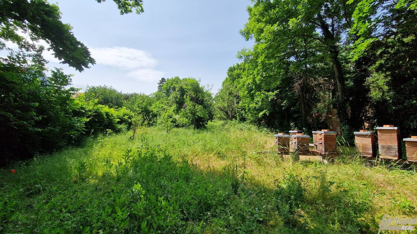 Building Plot 3029 m² in Maria Enzersdorf
