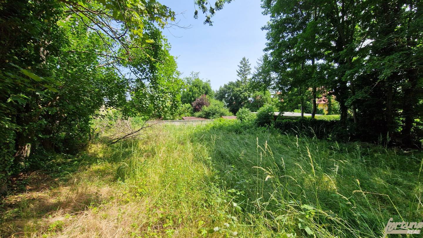 Building Plot 3029 m² in Maria Enzersdorf
