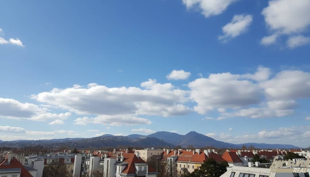 Immobilienbild 2