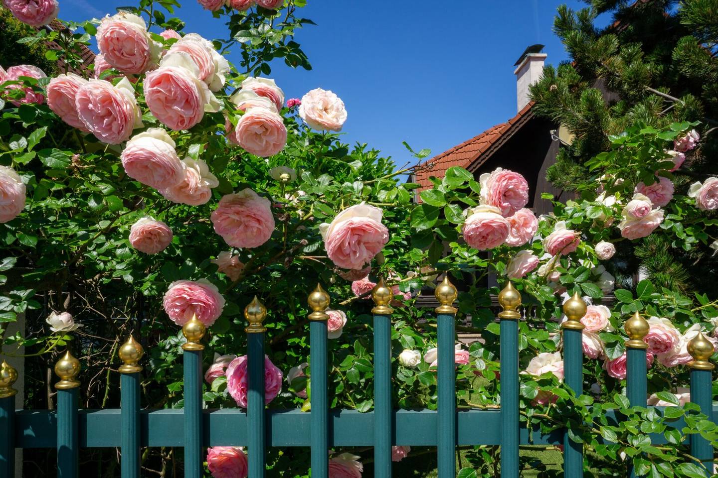 Einfamilienhaus mit Garten in Wien-Simmering