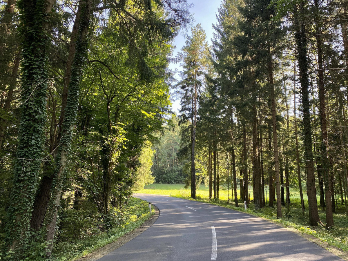 Immobilienbild 4
