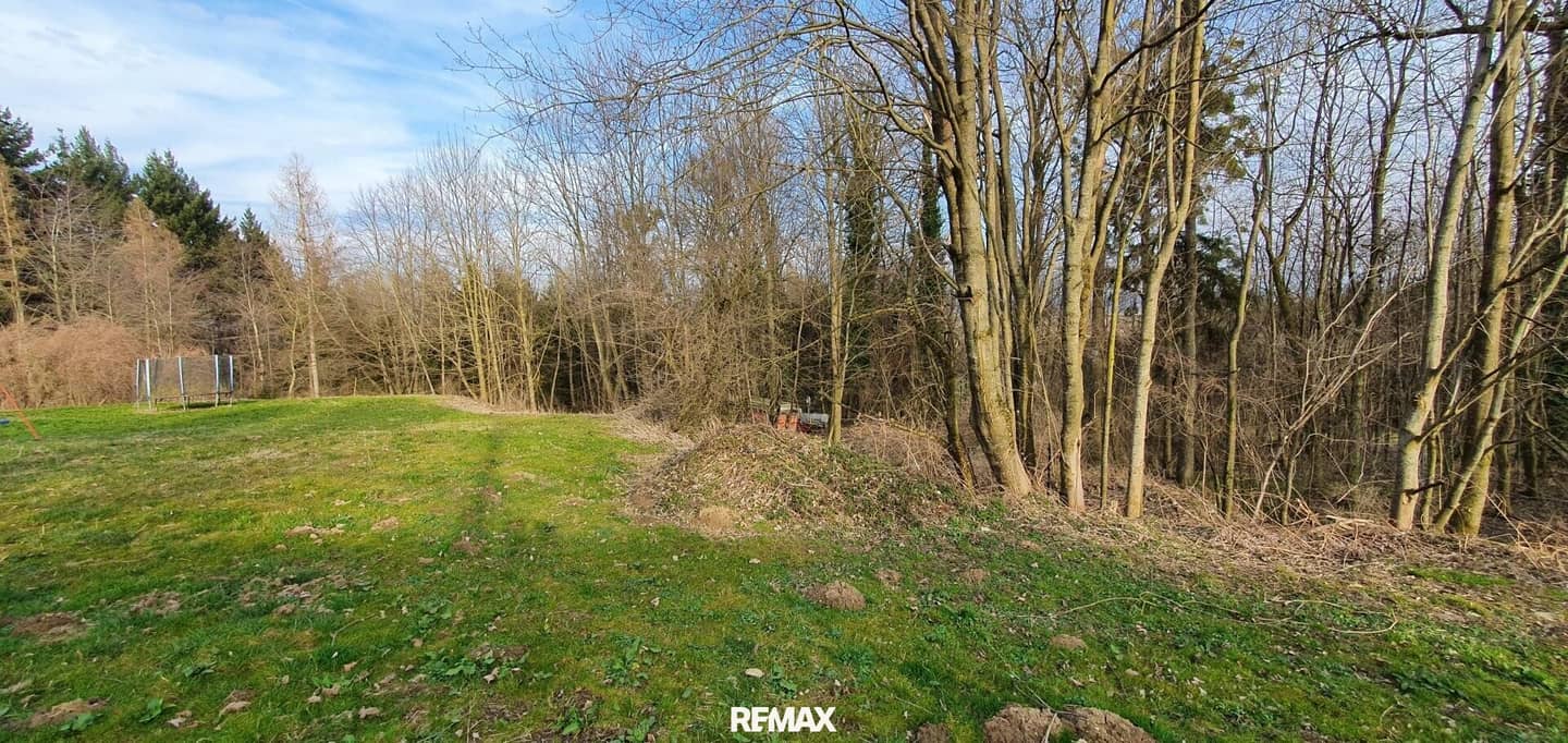 Wald und Wiese in Kronstorf