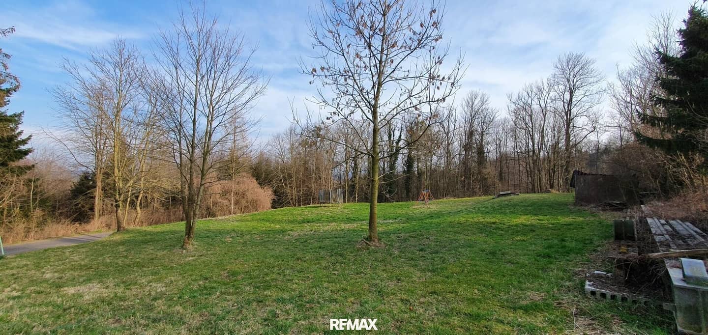 Wald und Wiese in Kronstorf