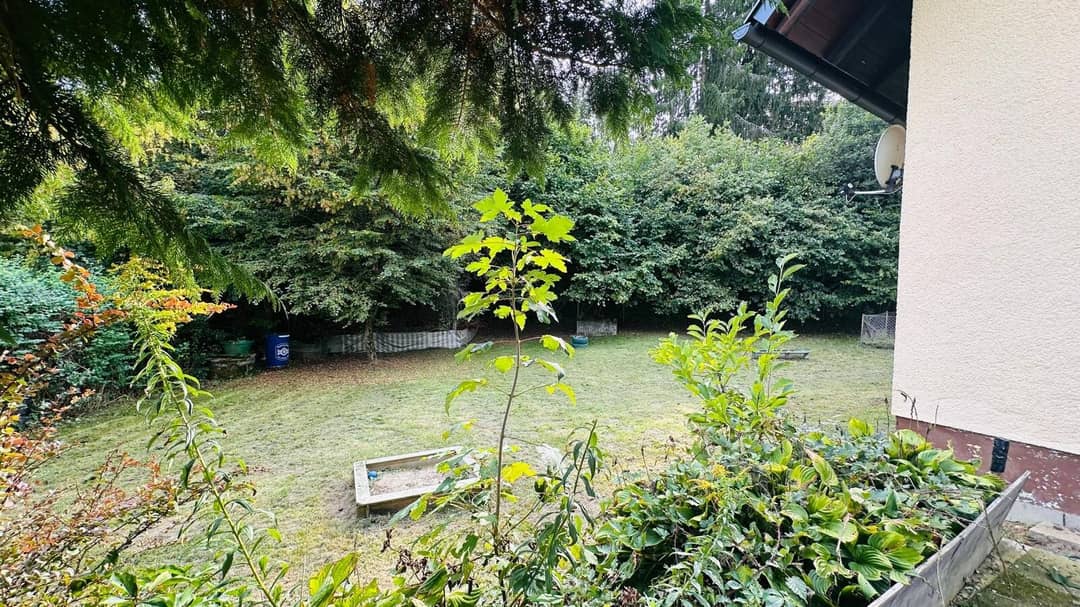 Immobilienbild 3
