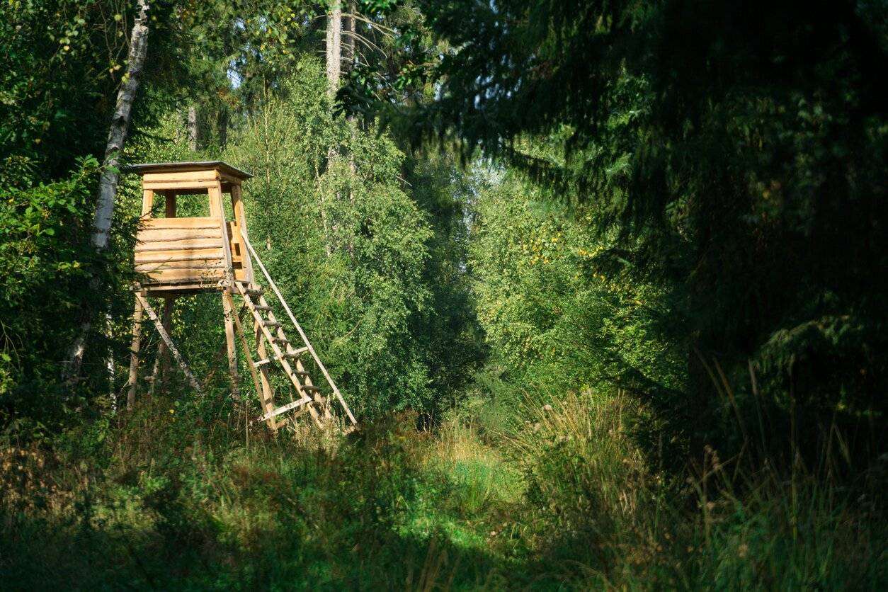 Exclusive forest property in Döbling, near Krapfenwaldbad