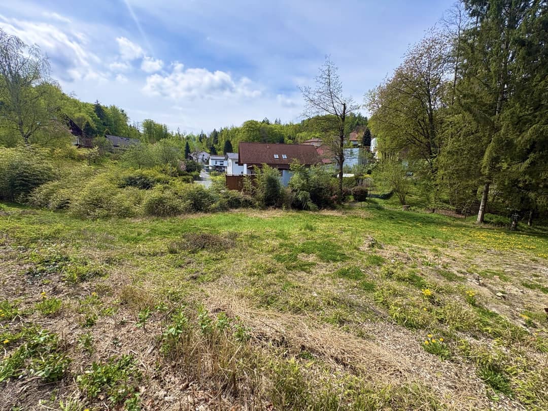 Quiet Plot Near the City Edge