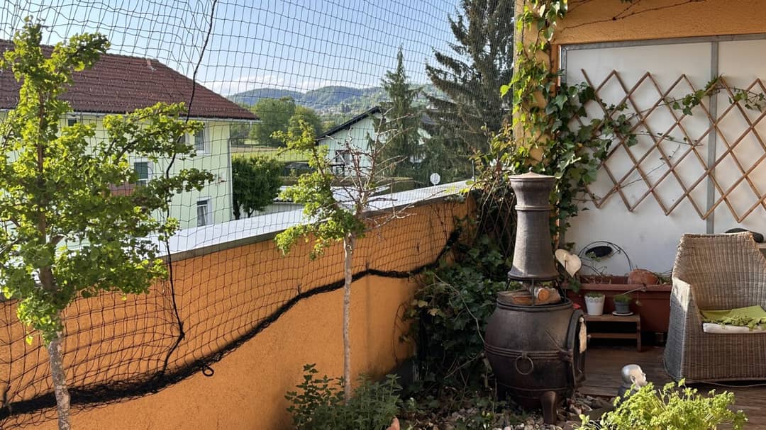 Immobilienbild 4