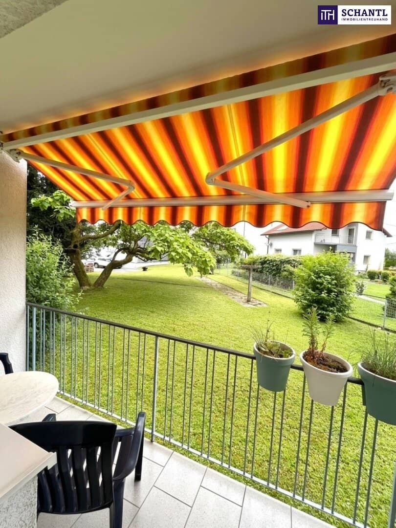 West Balcony Apartment in Quiet Location Cellar