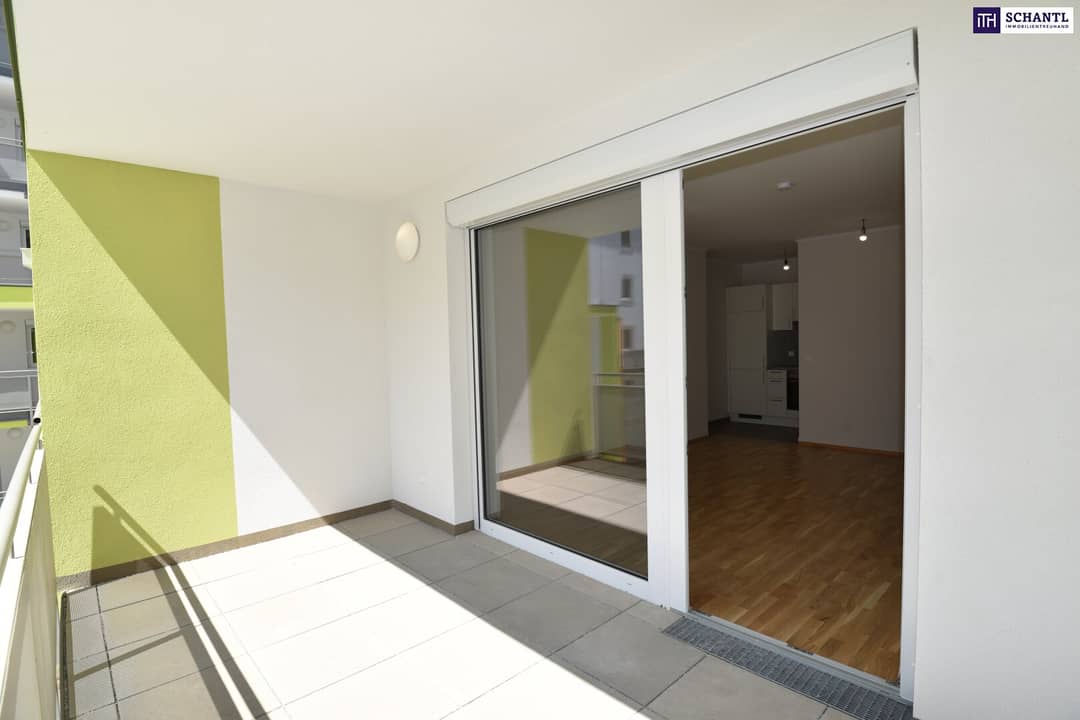 Immobilienbild 2