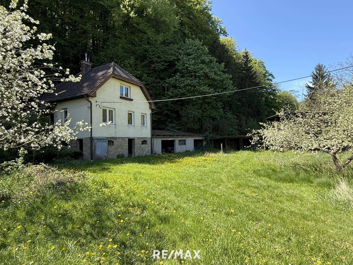 Plot with Forest Share and Existing Building