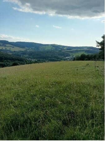 Traumhaftes Grundstück nahe Neulengbach/Altlengbach
